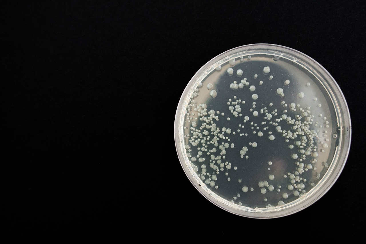 En ny type antibiotika er i stand til å drepe resistente bakterier