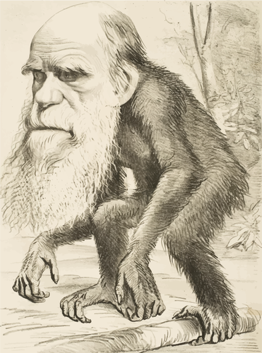 darwin